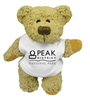 dexter-bear-with-white-t-shirt-10-inch-e614705